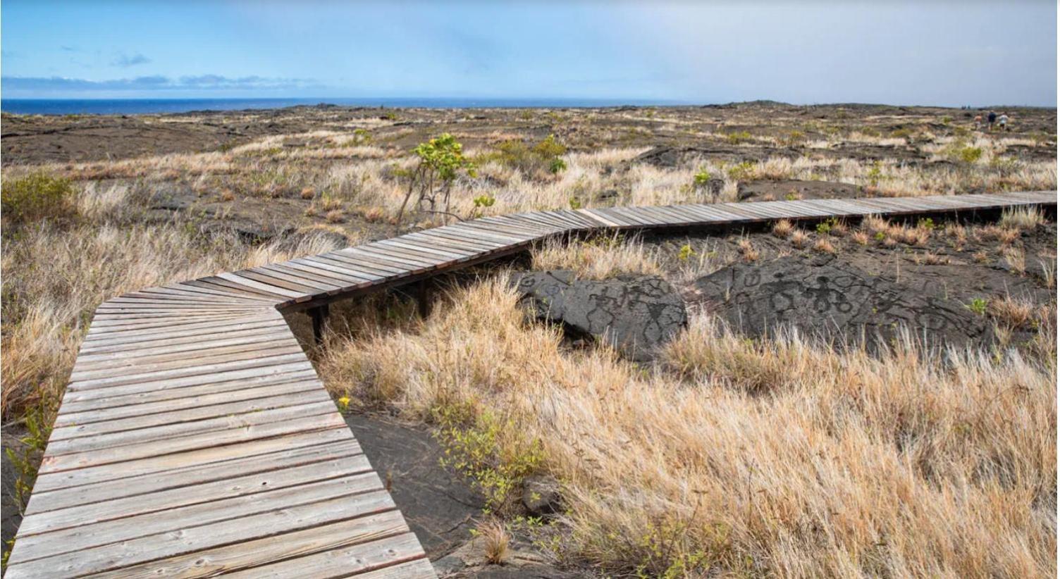 Volcano One - Modern Studio With Lanai Near Volcano National Park Esterno foto